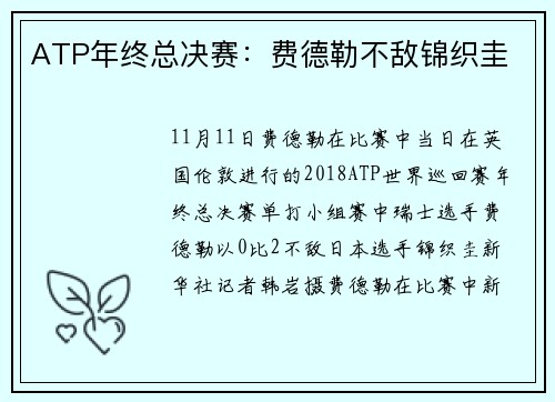 ATP年终总决赛：费德勒不敌锦织圭