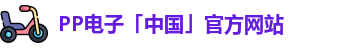pp电子